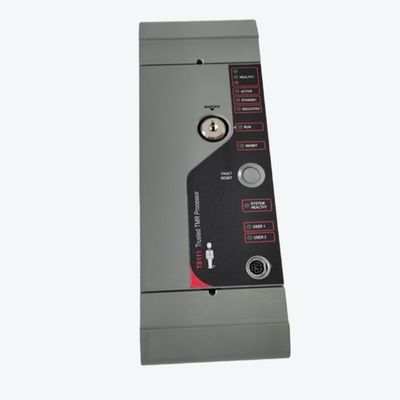 ICS TRIPLEX T8111C доверил процессору, конформному покрытому модулю